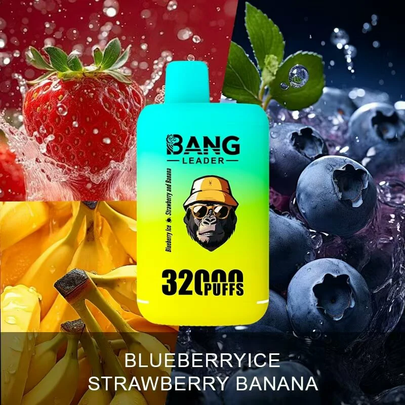 Bangleader Bang Leader 32000パフ 使い捨て電子タバコ - image 8