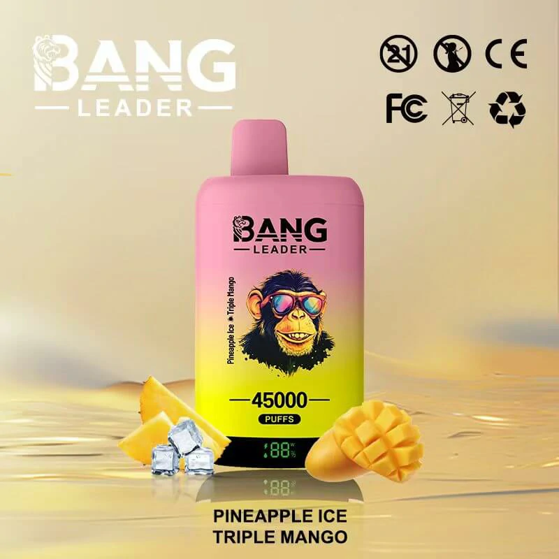 Bang Leader 45000パフ 2-in-1 使い捨て電子タバコ - image 6