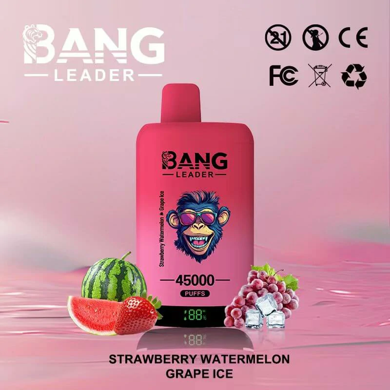 Bang Leader 45000パフ 2-in-1 使い捨て電子タバコ - image 3