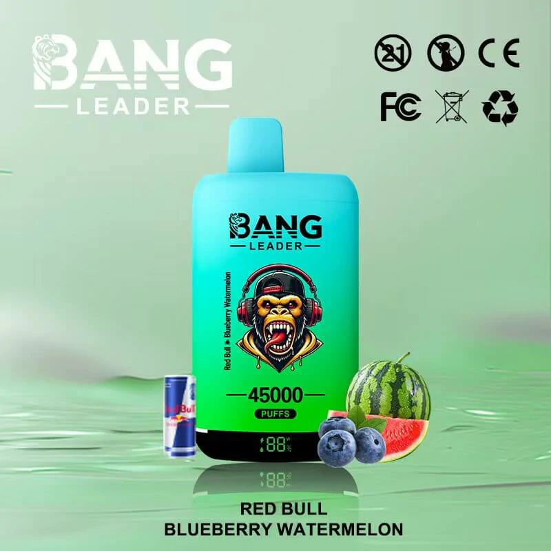 Bang Leader 45000パフ 2-in-1 使い捨て電子タバコ