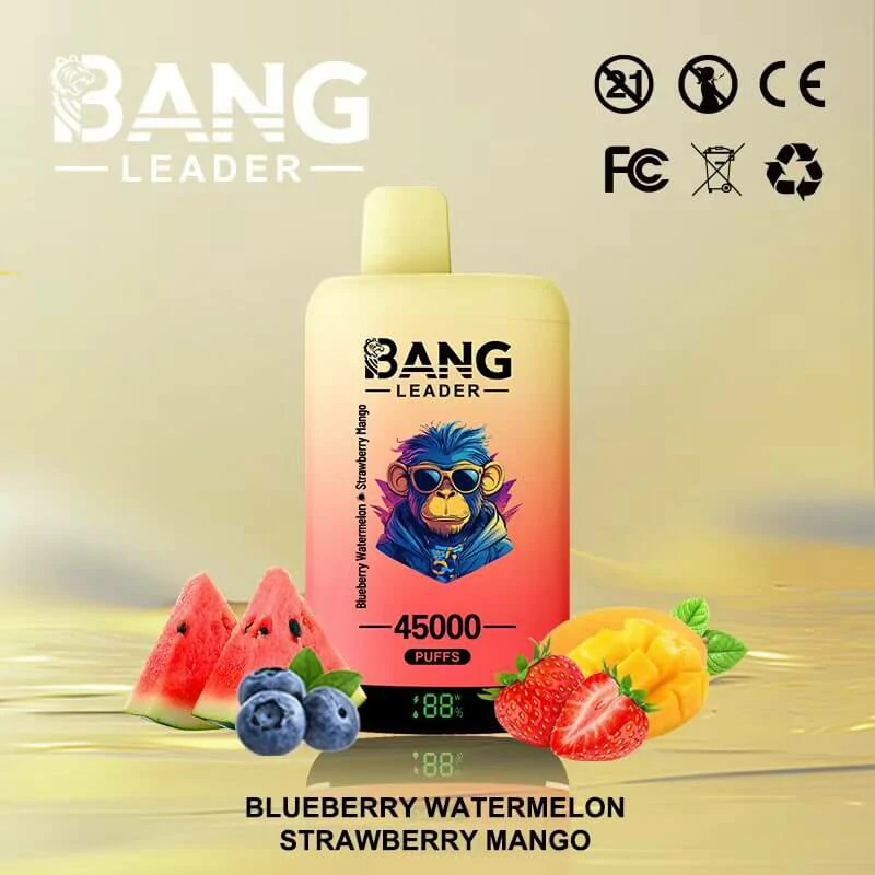 Bang Leader 45000パフ 2-in-1 使い捨て電子タバコ - image 4