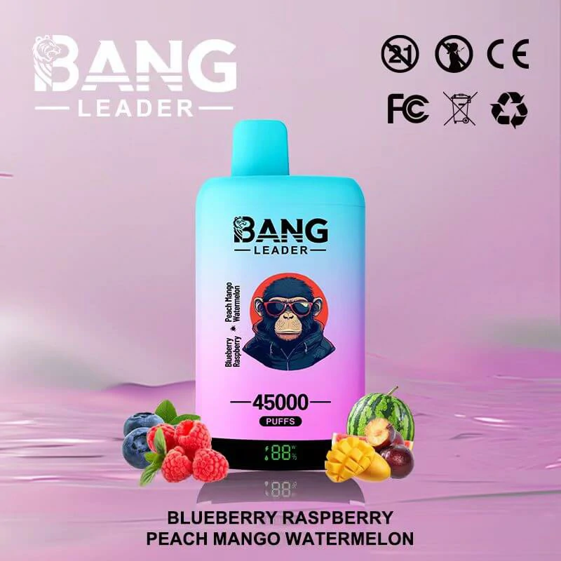 Bang Leader 45000パフ 2-in-1 使い捨て電子タバコ - image 5