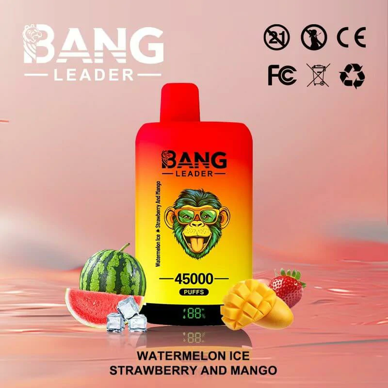 Bang Leader 45000パフ 2-in-1 使い捨て電子タバコ - image 7