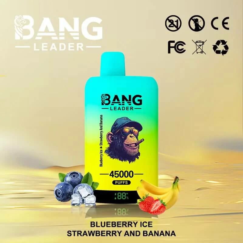 Bang Leader 45000パフ 2-in-1 使い捨て電子タバコ - image 2