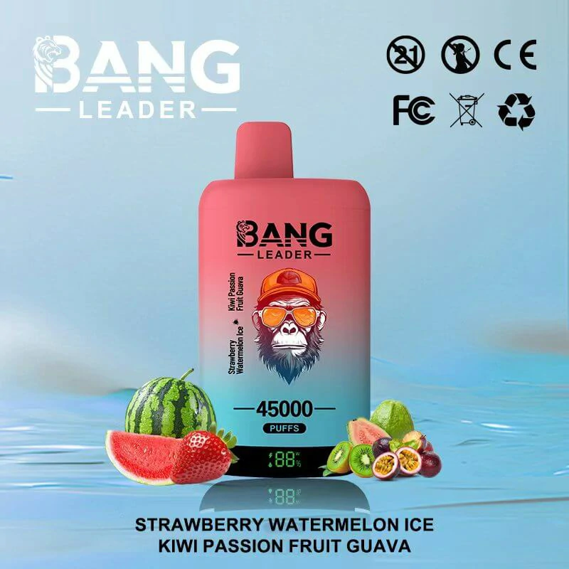 Bang Leader 45000パフ 2-in-1 使い捨て電子タバコ - image 8