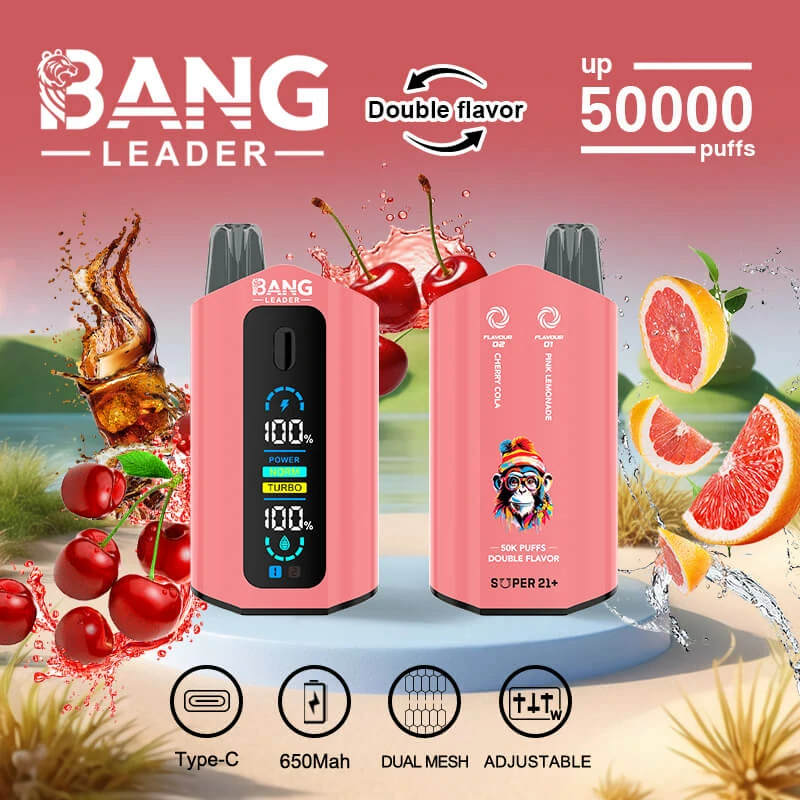 Bang Leader 50000パフ 2-in-1 使い捨て電子タバコ