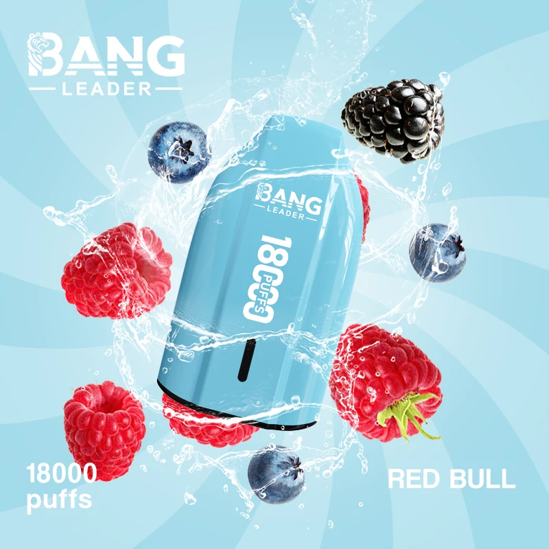 Bang Leader 18000パフ 使い捨て電子タバコ - image 9