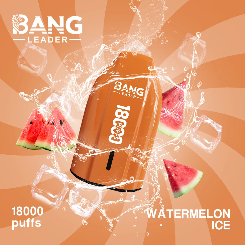 Bang Leader 18000パフ 使い捨て電子タバコ - image 4