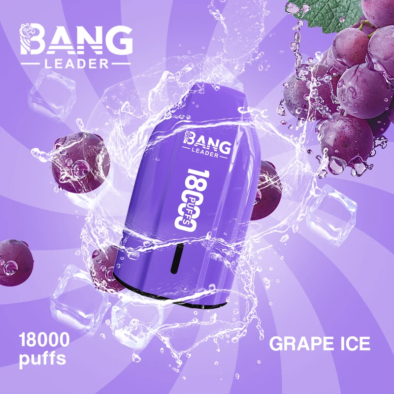 Bang Leader 18000パフ 使い捨て電子タバコ - image 7