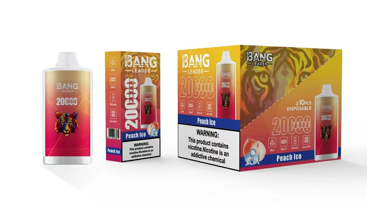 Bang Leader 20000パフ 使い捨て電子タバコ - image 8