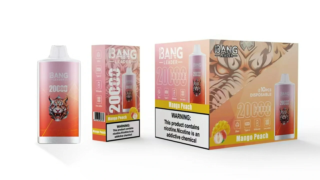 Bang Leader 20000パフ 使い捨て電子タバコ - image 6