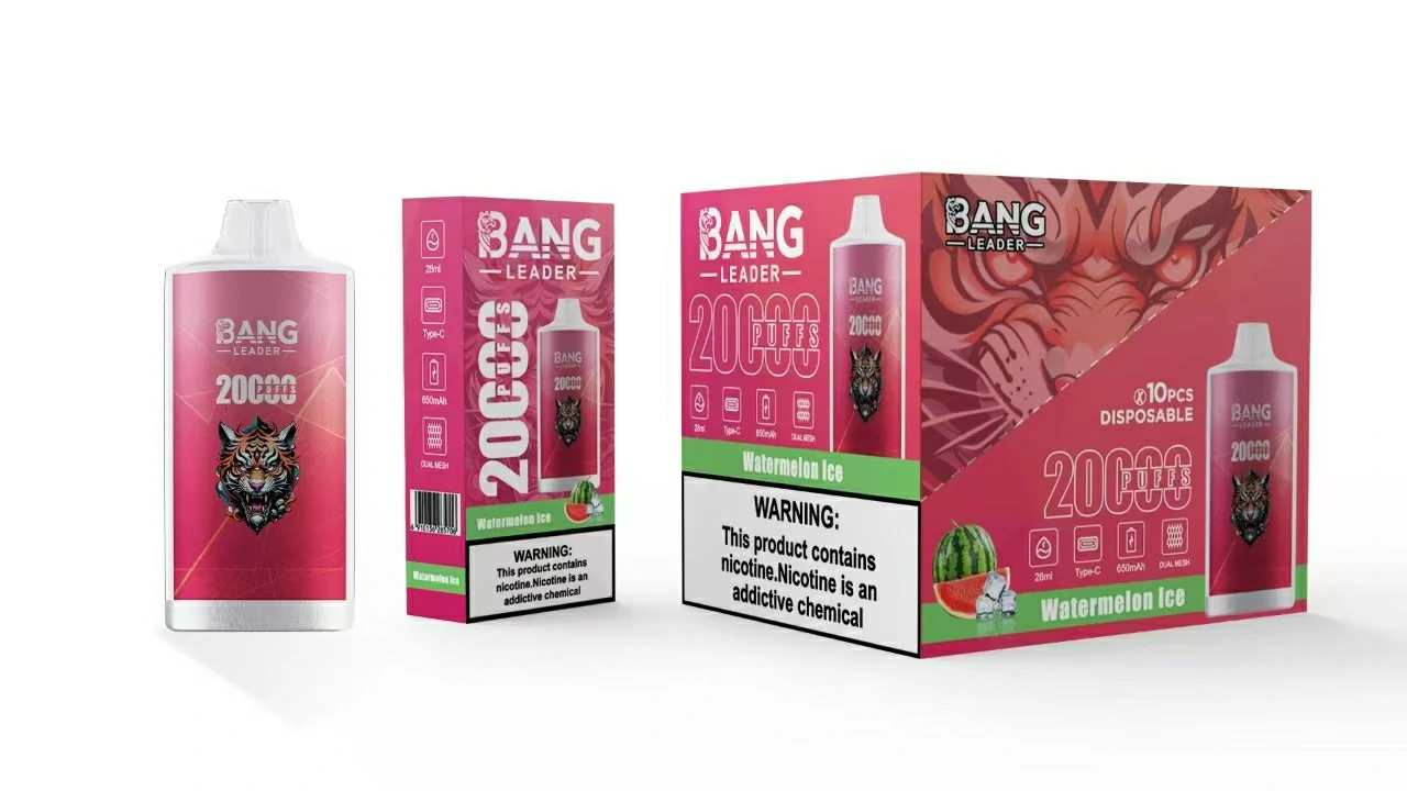 Bang Leader 20000パフ 使い捨て電子タバコ - image 5