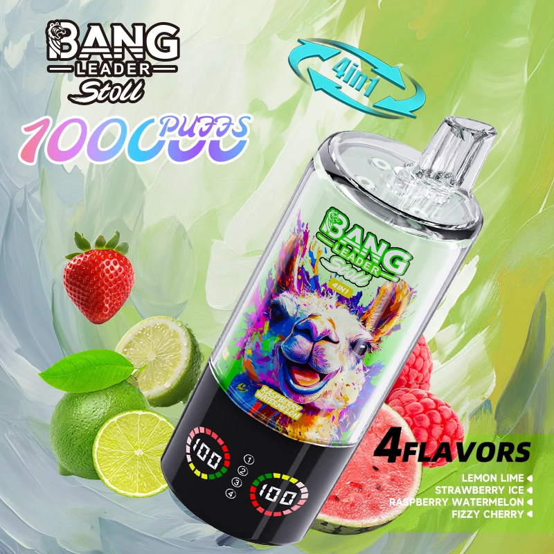 Bang Leader 100000パフ 4-in-1 使い捨て電子タバコ - image 4