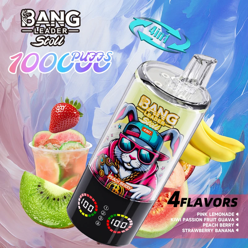Bang Leader 100000パフ 4-in-1 使い捨て電子タバコ - image 8