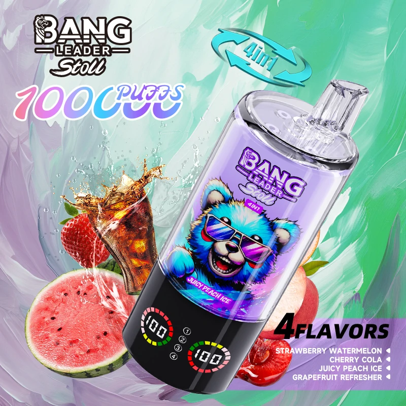 Bang Leader 100000パフ 4-in-1 使い捨て電子タバコ - image 6