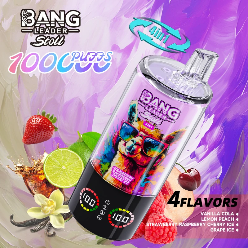 Bang Leader 100000パフ 4-in-1 使い捨て電子タバコ - image 2