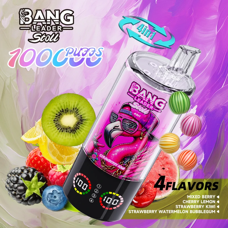 Bang Leader 100000パフ 4-in-1 使い捨て電子タバコ - image 7
