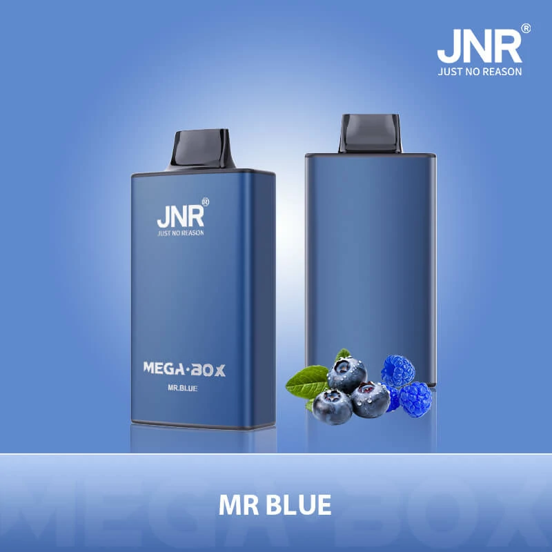 JNR Mega Box 25000パフ 使い捨て電子タバコ - image 4
