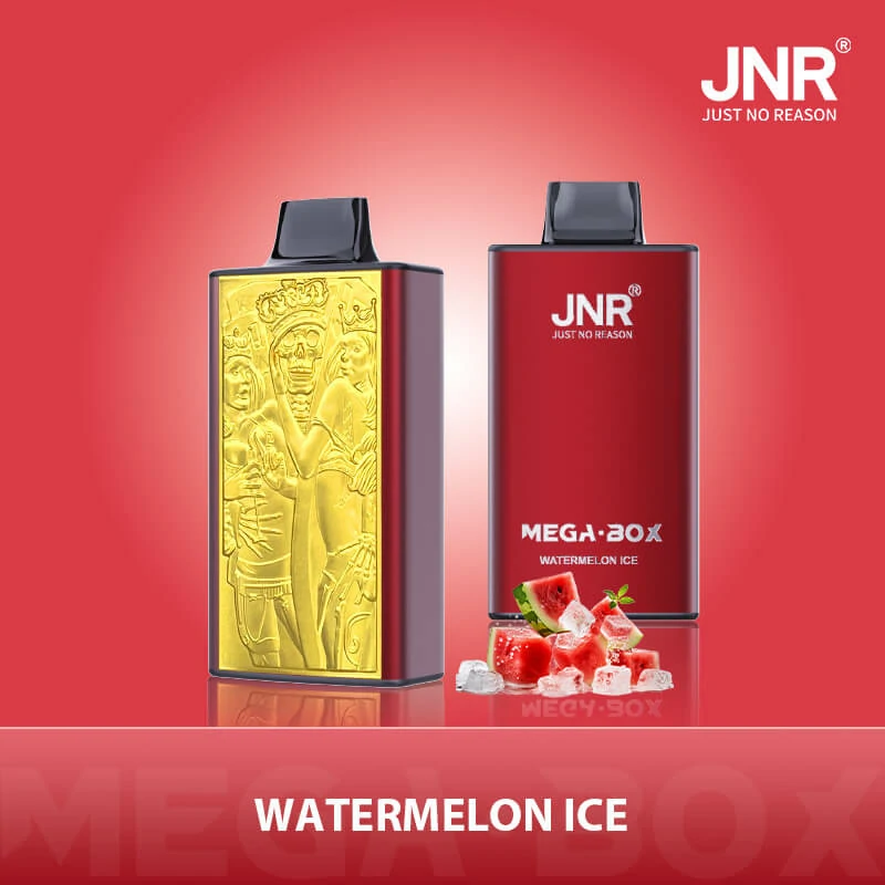 JNR Mega Box 25000パフ 使い捨て電子タバコ - image 7