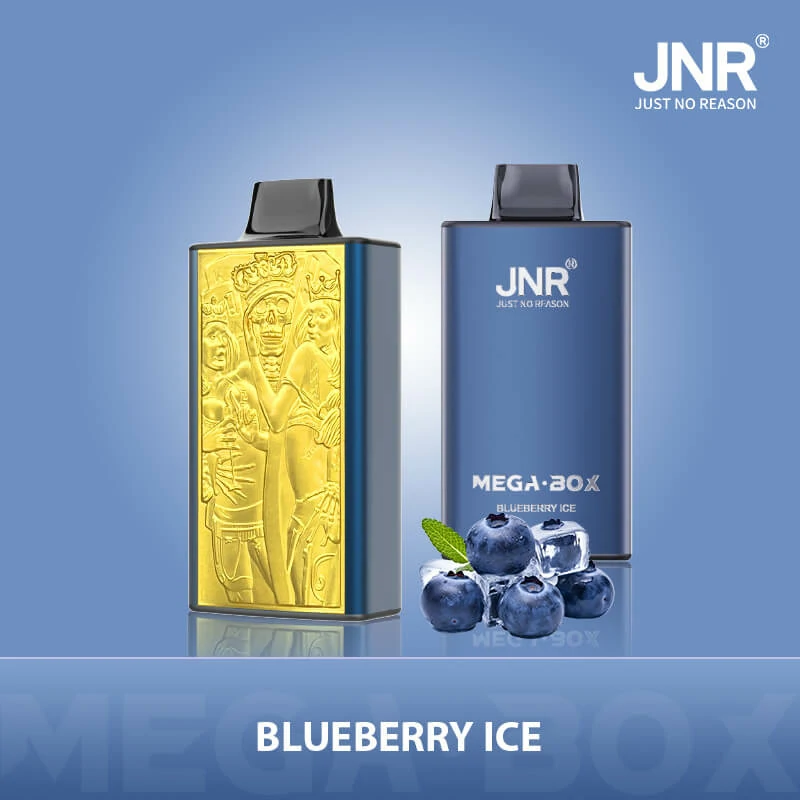 JNR Mega Box 25000パフ 使い捨て電子タバコ - image 6